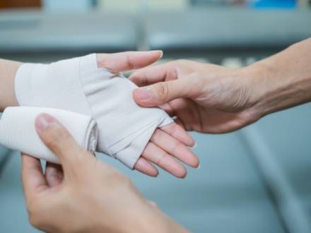 Will County, IL Dog Bite Lawyer